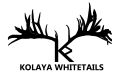 Kolaya Whitetails
